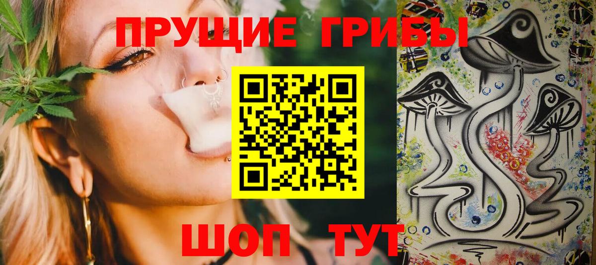 Галлюциногенные грибы Cubensis Белорецк
