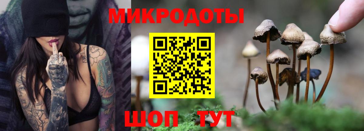 наркотики  Вход с VPN  Белорецк  Галлюциногенные грибы GOLDEN TEACHER 